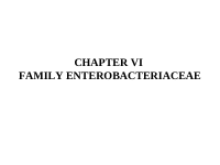 CHAPTER VI Family Enterobacteriaceae.ppt